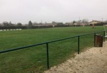 Quand les bénévoles de Belin-Beliet chouchoutent la pelouse de Mano !