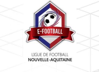 Le e-foot ça vous dit ?