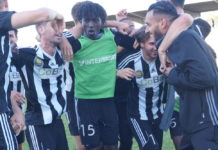 Momar Gadji (Stade Bordelais), le lionceau devenu lion…