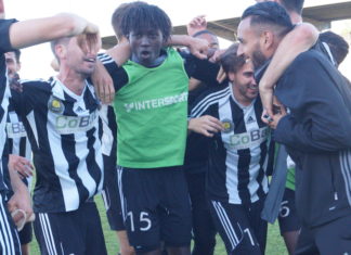 Momar Gadji (Stade Bordelais), le lionceau devenu lion…