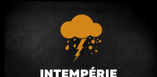 Bassens au repos forcé