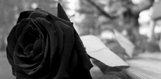 Carnet noir : Dominique Le Bihan nous a quittés