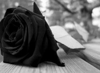 Carnet noir : Dominique Le Bihan nous a quittés