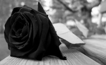 Carnet noir : Au-revoir Sylviane !