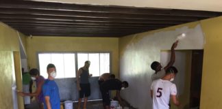 Qui a dit que les lions ne savaient pas peindre ?