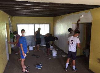 Qui a dit que les lions ne savaient pas peindre ?