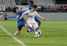 Les Pingouins n’ont pas eu peur des Lions