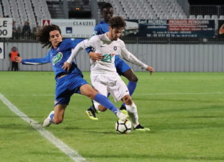 Les Pingouins n’ont pas eu peur des Lions