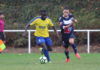 Et si les championnats s’arrêtaient là ? (Situation au 11 mars 2019)