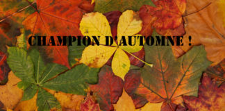 Ces Girondins champions d’automnes !