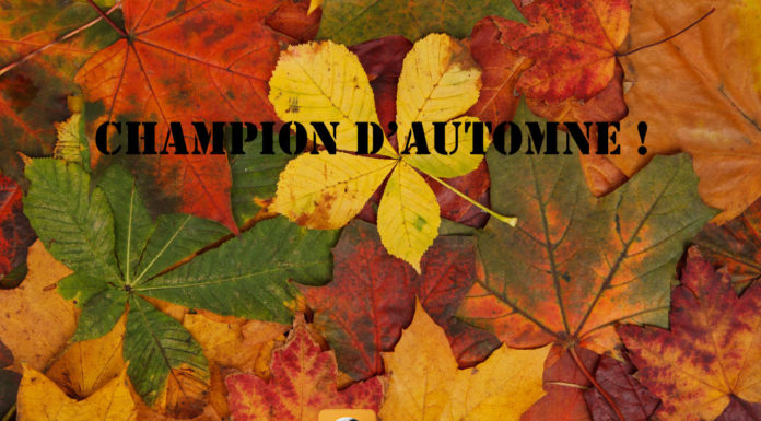 Ils sont champions d’automne !