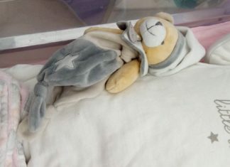 Carnet Rose – Bienvenue à Eva Chamouleau (Cadaujac)