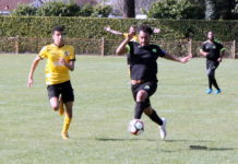 Et si les championnats s’arrêtaient ici ? (Situation au 29 mars 2019)