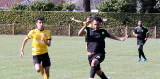 Et si les championnats s’arrêtaient ici ? (Situation au 29 mars 2019)
