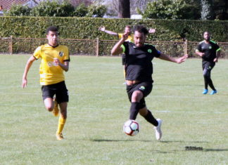 Et si les championnats s’arrêtaient ici ? (Situation au 29 mars 2019)