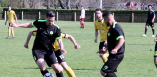 Et si les championnats s’arrêtaient là ? (version du 6 mai 2019)