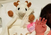 Carnet rose – Bienvenue à Maï-Lee Lesage !