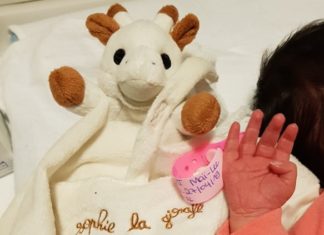 Carnet rose – Bienvenue à Maï-Lee Lesage !