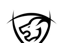 Trois nouvelles recrues pour le Stade Bordelais