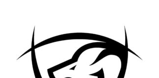 Trois nouvelles recrues pour le Stade Bordelais