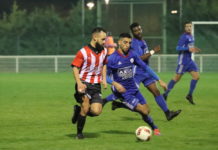 Et si les championnats s’arrêtaient là ? (30 mars 2020)