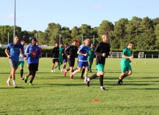 Coronavirus – Les entraineurs optent pour le système D