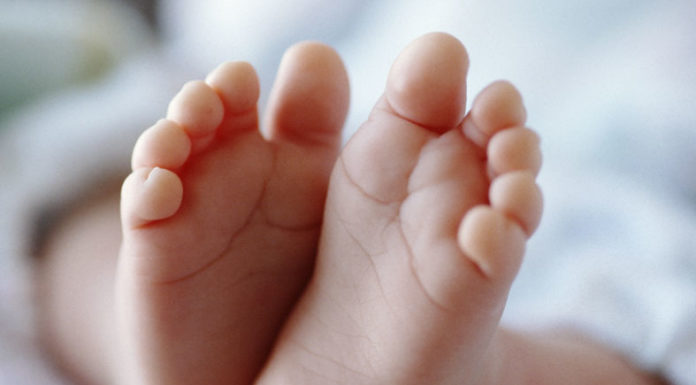 Bienvenue à Louise Roumazeilles (Le Taillan Médoc)