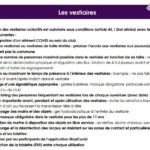Vestiaires