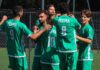 R1 : Et si les championnats s’arrêtaient là ?