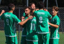 R1 : Et si les championnats s’arrêtaient là ?