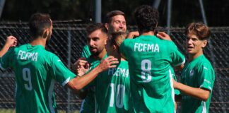 R1 : Et si les championnats s’arrêtaient là ?