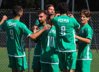 R1 : Et si les championnats s’arrêtaient là ?