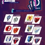 d1 poule a